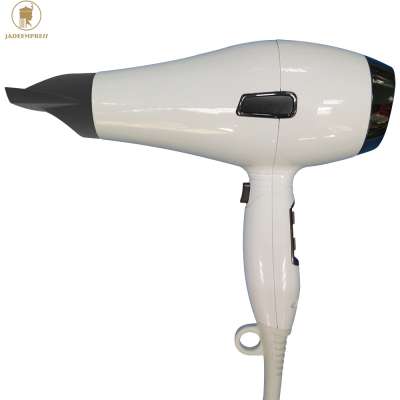 Professional 1875W Custom Private Label Blow Dryer ETL Hand Held Hair Dryer